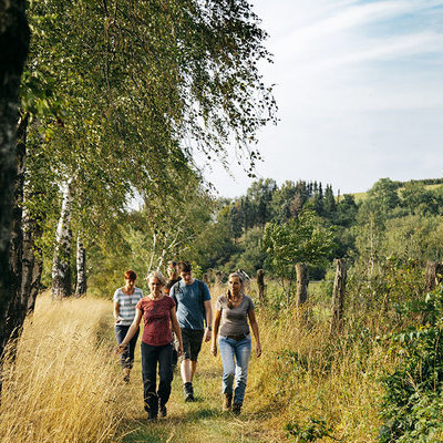 Wandern auf dem Waldfreundeweg