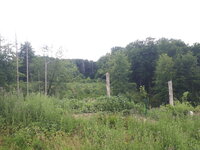 Privatwald Kalletal - Wald und Holz NRW. Privatwald Kalletal