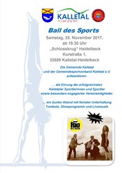 Ball des Sports 2017