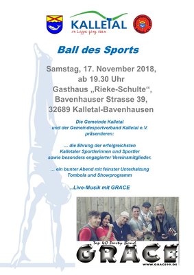 Ball des Sports 2018