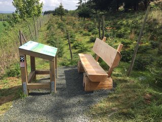 Bank an Infotafel Weg der Blicke_Varenholz