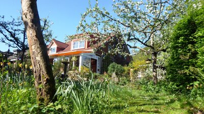 Obstbäume-Wiese Obstbäume-Wiese