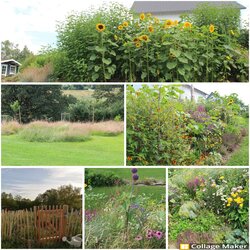 Susanne_Kater Platz 2