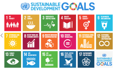 17 SDGs