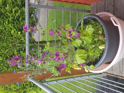 Schönwälder Platz 3