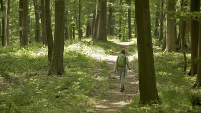 Wandernde Person durch den Wald