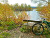 Fahrrad an Bank gelehnt vor See im Herbst