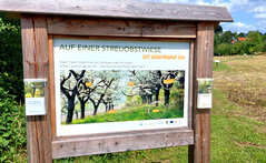 Schautafel Streuobstwiese_Foto Gemeinde Kalletal