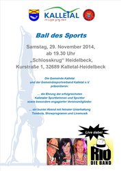 Ball des Sports 2014