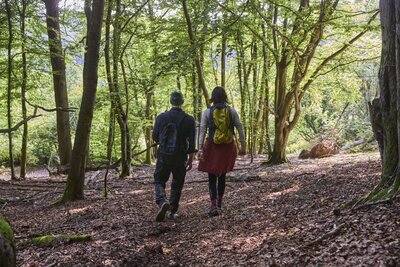Pärchen von hinten wandernd durch den Wald - LTM GmbH_Hirschmeier Media GmbH & CoKG Pärchen von hinten wandernd durch den Wald