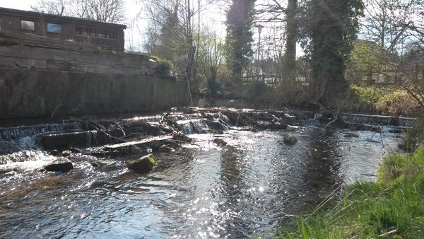 Wasser im Fluss - Westerkalle