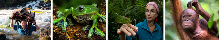 Borneo - Dieter Schonlau Borneo