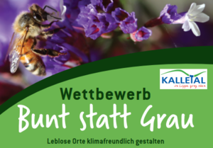 Ausschnitt Biene Ausschnitt Biene